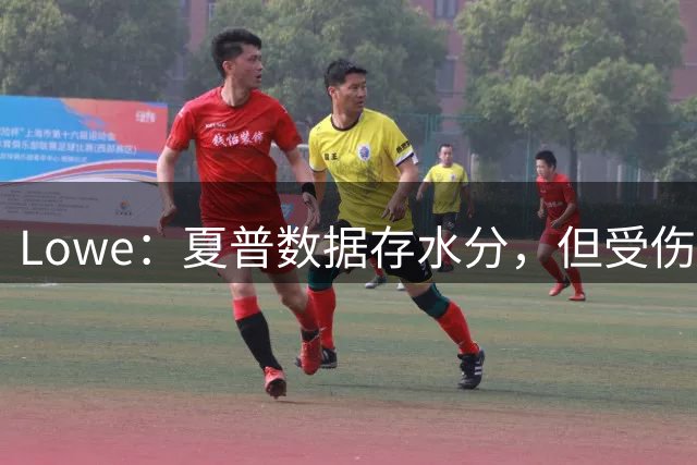 Lowe：夏普数据存水分，但受伤仍属不幸